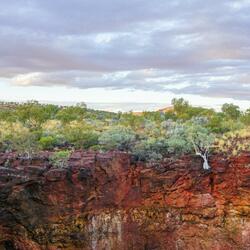 karijini (iron. spinifex)