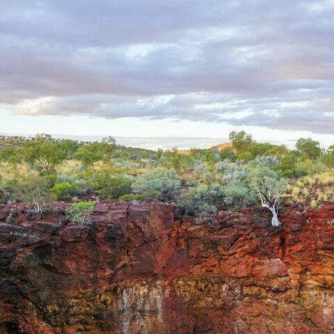 karijini (iron. spinifex)