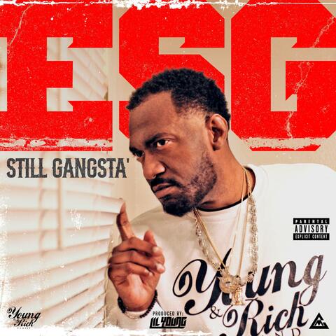 STILL GANGSTA'