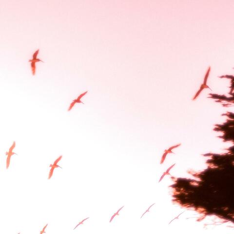 CAUGHT IN YOUR SPELL