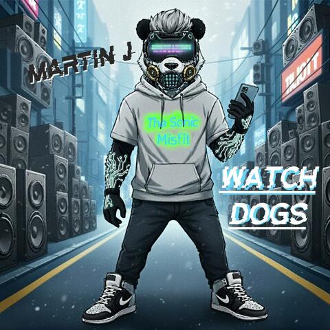 Watch Dogs