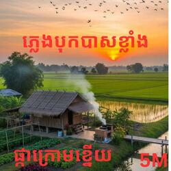 ផ្កាក្រោមខ្នើយ(ពិរោះបុកបាសខ្លាំង)