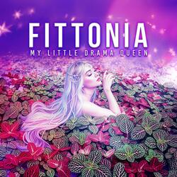 Fittonia My Little Drama Queen