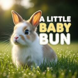 A Little Baby Bun kids songs nursery rhymes songs for kids baby bun song animated songs secret meaning in songs