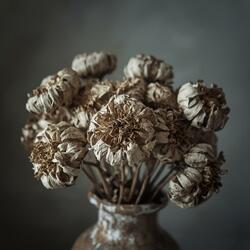 Dead Flowers