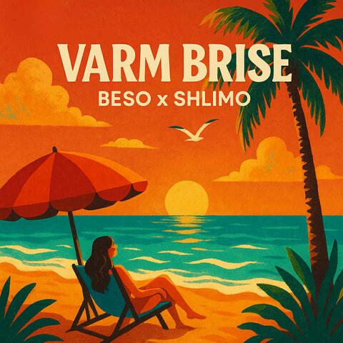 VARM BRISE (feat. Shlimo)