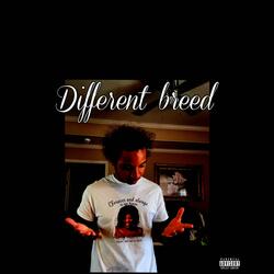 Different Breed