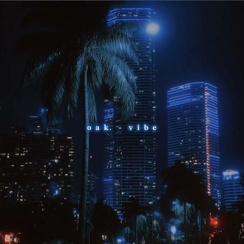 v i b e