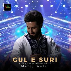 Gul E Suri