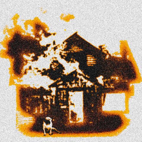 DOG HOUSE