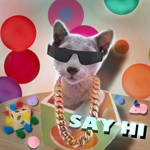 Say Hi