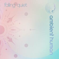 Falling Quiet