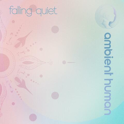 Falling Quiet
