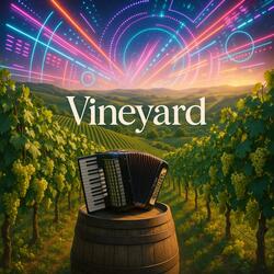 Vineyard