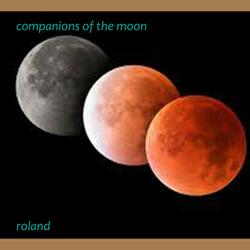 Companions of the Moon