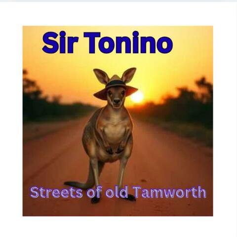 Streets of old Tamworth