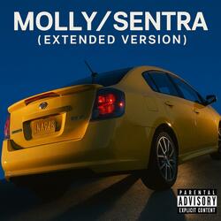 Molly/Sentra (ChatGPT Version)