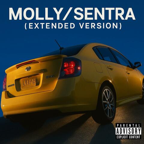Molly/Sentra (ChatGPT Version)