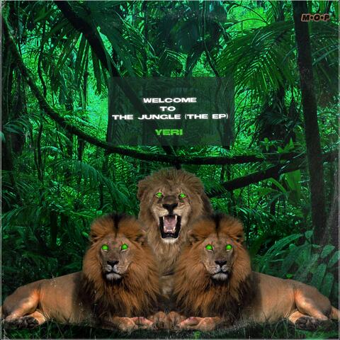 Welcome to the Jungle
