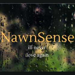 Ill Never Love Again