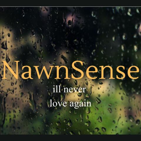 Ill Never Love Again
