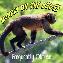 Monkey on the Loose