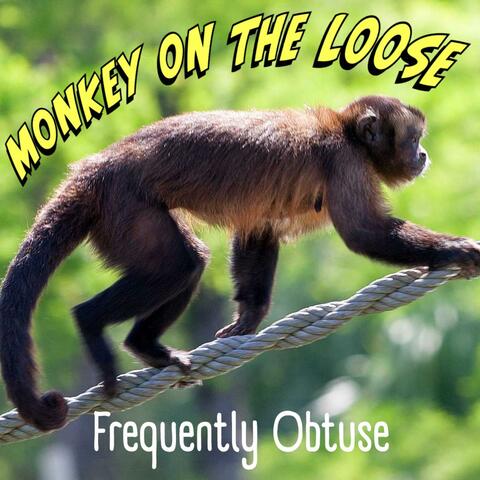 Monkey on the Loose