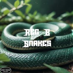 Snakes