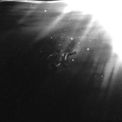 SOLA SOLITUDINE