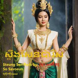 ស្ទឹងសែនប៉ារីស​ មរដក់ដេីម សូរ សាវឿន- Steung Sen Paris by So Savoeun ច្រៀងថ្មី