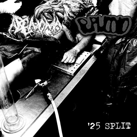 '25 SPLIT (PURULOID)