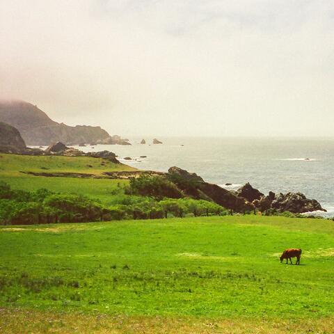 California (feat. august mez)