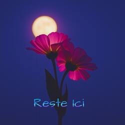 Reste Ici (Special Version)