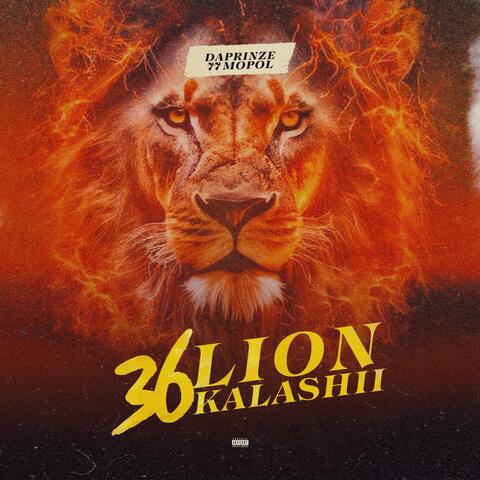 36 LION 36 KALASII