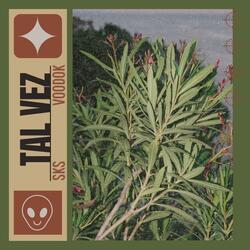 Tal vez (feat. voodok)