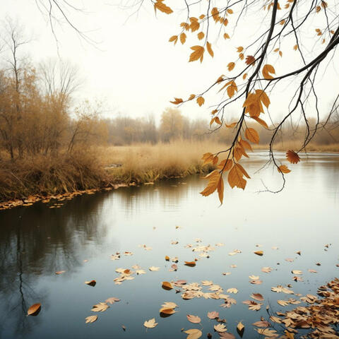 Smooth Jazz for Work & Study | Focus & Concentration Jazz – September Chill Vibes