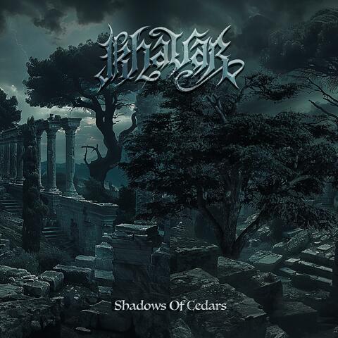 Shadow of Cedars