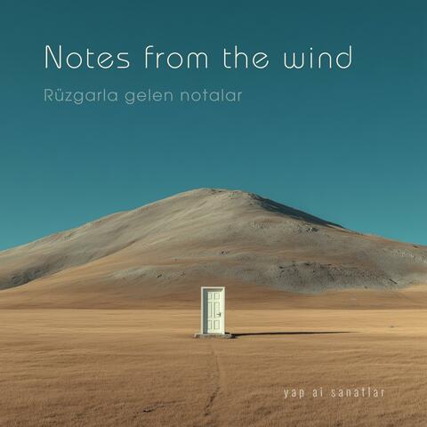 Notes from the wind