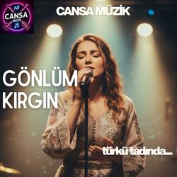 Gönlüm Kırgın
