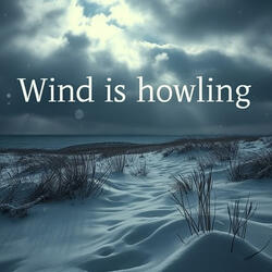 Wind is howling
