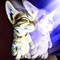 q es lo ke pensaste??