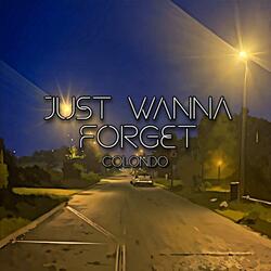 Just Wanna Forget