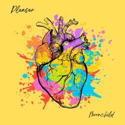 Pleaser