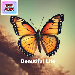 Beautiful Life