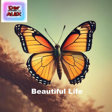 Beautiful Life