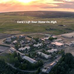 Lord I Lift Your Name On High (Live) (Live)