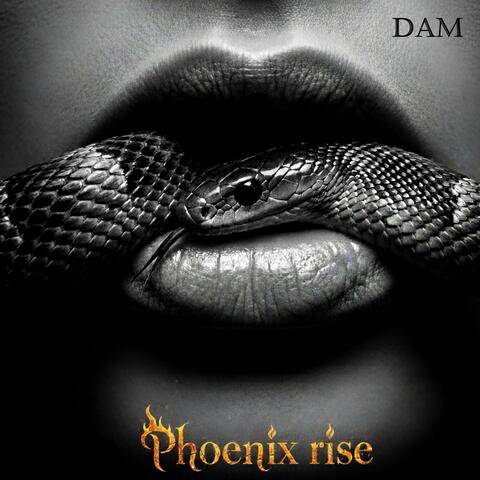 Phoenix rise