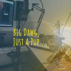 Big Dawg, Just A Pup