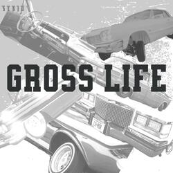 Gross Life