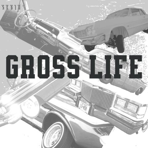 Gross Life